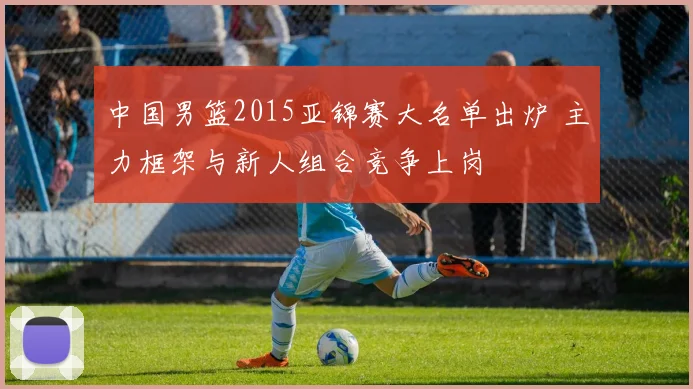 中国男篮2015亚锦赛大名单出炉 主力框架与新人组合竞争上岗