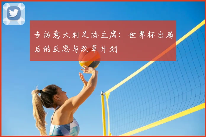 专访意大利足协主席：世界杯出局后的反思与改革计划