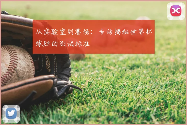 从实验室到赛场:专访揭秘世界杯球胆的测试标准