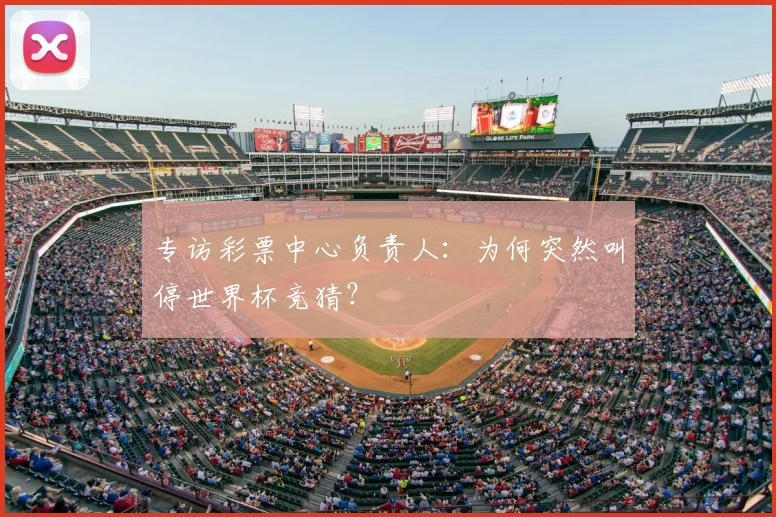 专访彩票中心负责人：为何突然叫停世界杯竞猜？