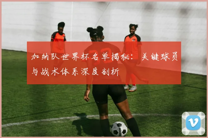 加纳队世界杯名单揭秘：关键球员与战术体系深度剖析